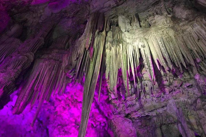 コスタ・デル・ソル発、ジブラルタルへの日帰り旅行（岩石ツアー付き）