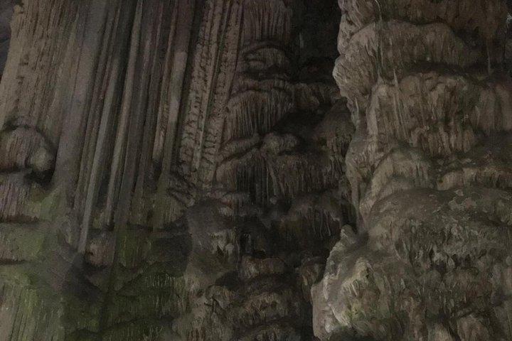 コスタ・デル・ソル発、ジブラルタルへの日帰り旅行（岩石ツアー付き）