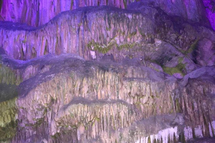 コスタ・デル・ソル発、ジブラルタルへの日帰り旅行（岩石ツアー付き）