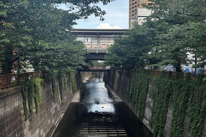 東京ウォーキング＆公共交通機関シティハイライトツアー