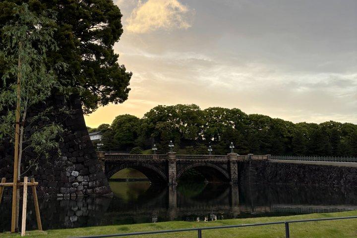 東京ウォーキング＆公共交通機関シティハイライトツアー