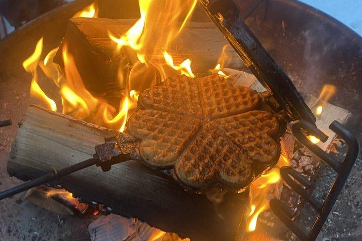 Oslo Forest Torchlight Walk and Chef's Norwegian Campfire Waffles