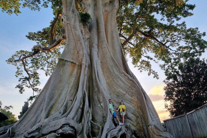 バリのジャティルウィフ米田んぼウォーキングツアーとタナロット寺院