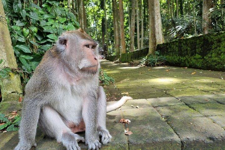 バリのジャティルウィフ米田んぼウォーキングツアーとタナロット寺院