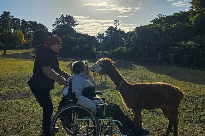 車椅子で行く済州島西の旅