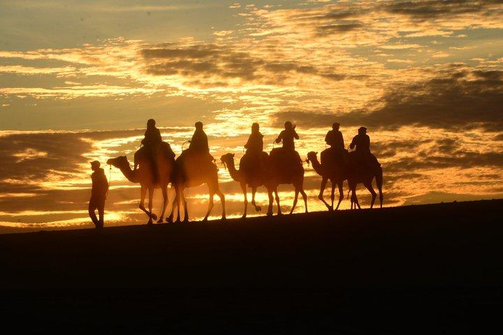 アガファイ砂漠の夕日ラクダ乗りとディナーショー