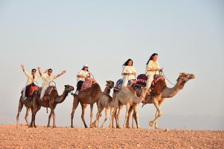 アガファイ砂漠の夕日ラクダ乗りとディナーショー