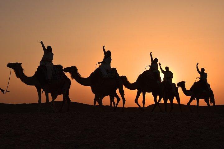 アガファイ砂漠の夕日ラクダ乗りとディナーショー