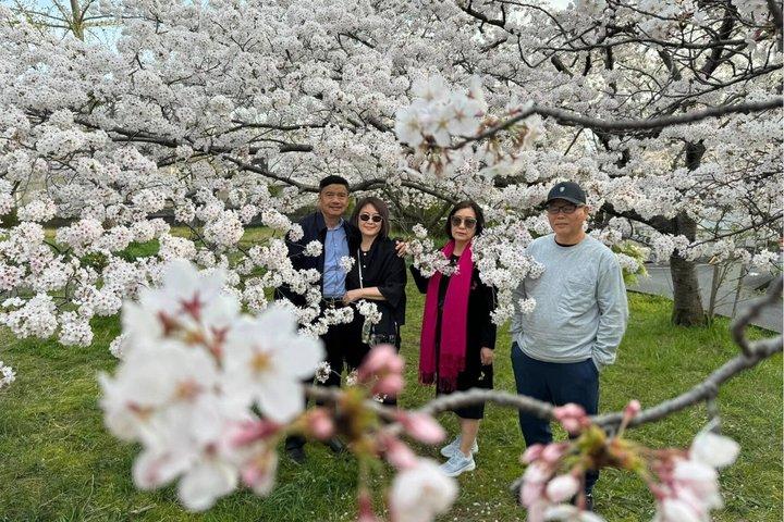 Osaka Private Walking Tour – 100% personalizado