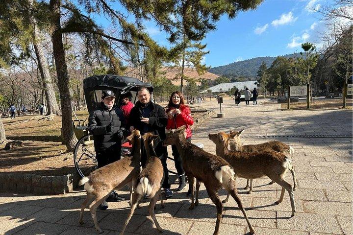 NARA Private Walking Tour – 100% personalizado