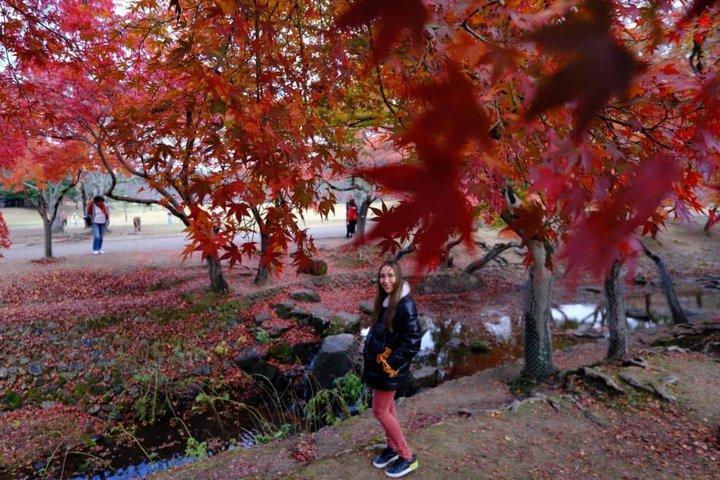NARA Private Walking Tour – 100% personalizado
