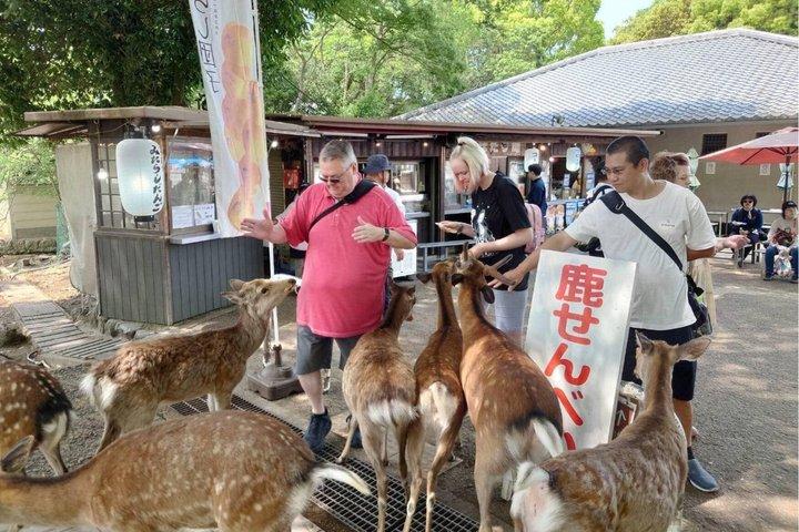 NARA Private Walking Tour – 100% personalizado