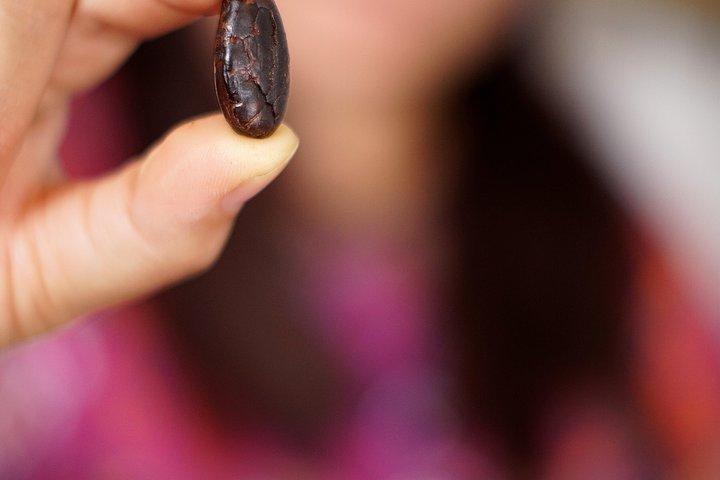 アンティグア・グアテマラ近郊のマヤの村における古代のチョコレート作り