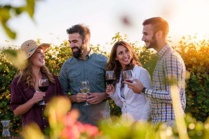 Sit Back. We’ll Drive. You Enjoy the Wine
