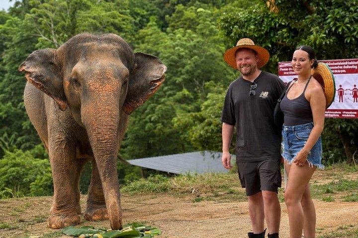 Phuket Elephant Observation Hour och Canopy Walk