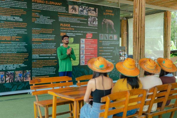 Phuket Elephant Small Group Immersion and Canopy Walk