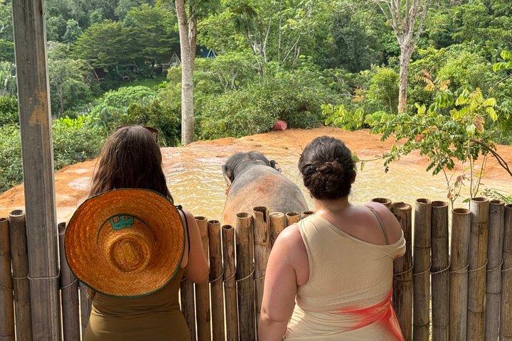 Phuket Elephant Small Group Immersion and Canopy Walk