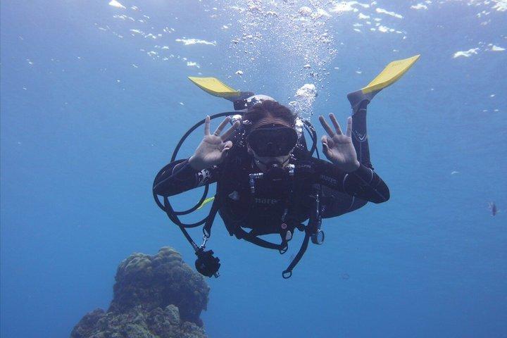 Panama City Scuba Diving aktivitet for begyndere