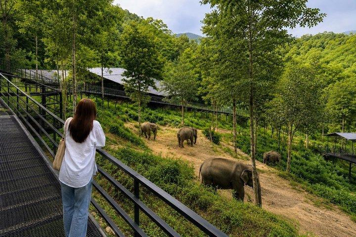 Phuket Elephant Observation Hour och Canopy Walk