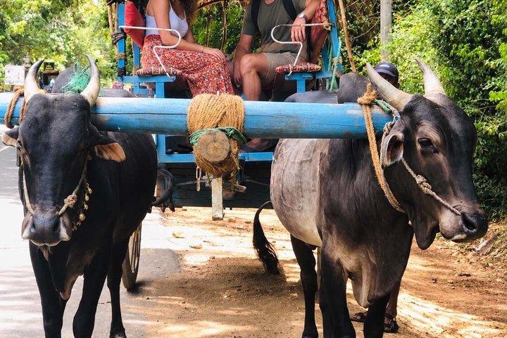 スリランカ個人旅行8日間（絶景列車乗車付き）