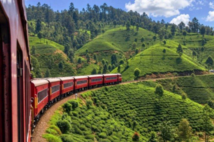 スリランカ個人旅行8日間（絶景列車乗車付き）