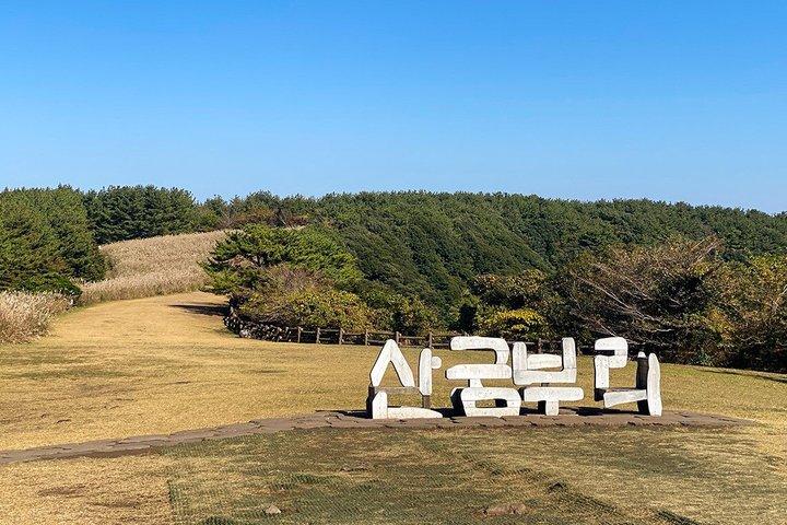 済州ウド島、城山とみかん狩りツアー