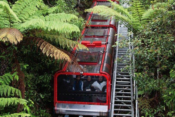 パラマタ川クルーズを含むブルーマウンテンズ日帰りツアー