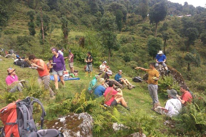 Sikkim Himalayan Goecha-La Trek and Tour