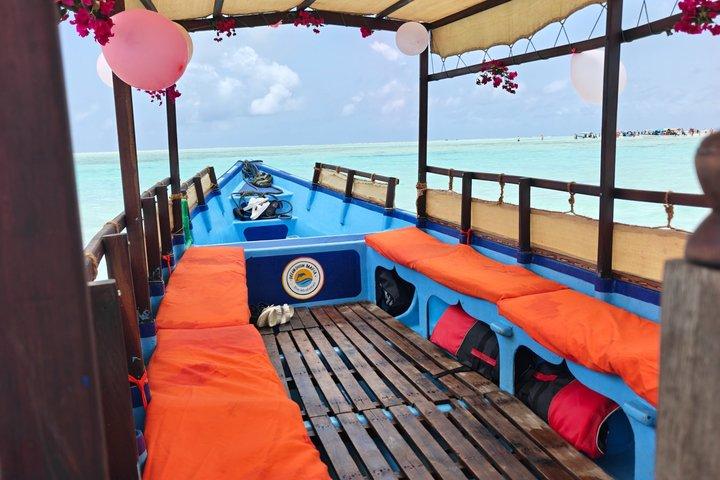 Medio día privado en la Isla Mnemba con lancha rápida