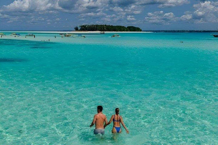 Private Half day Mnemba Island with Speedboat