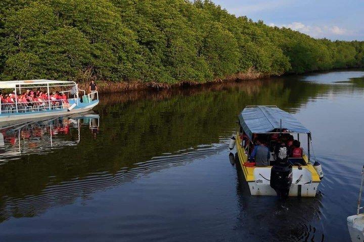 Kawa Kawa River Safari: Proboscis Monkeys, Sunset & Fireflies
