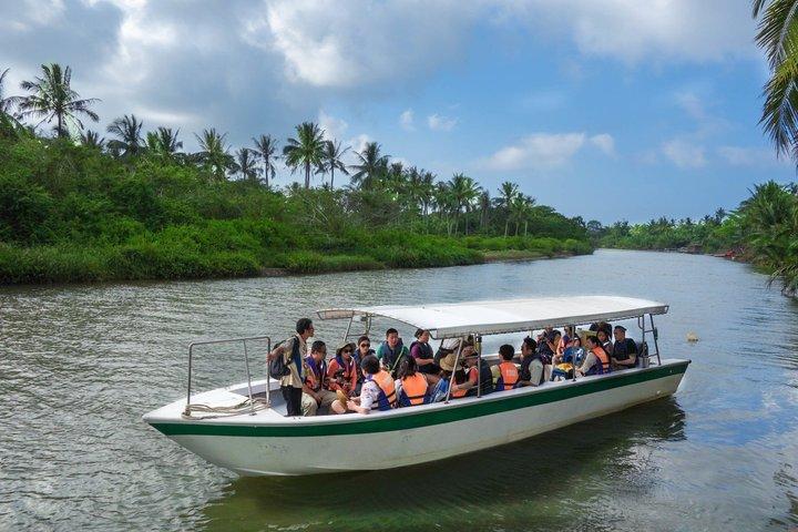 Kawa Kawa River Safari: Proboscis Monkeys, Sunset & Fireflies