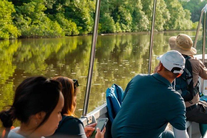 Kawa Kawa River Safari: Proboscis Monkeys, Sunset & Fireflies