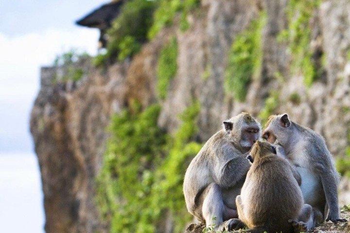 Klipper, Ild & Solnedgang: Bali Aftenflugten