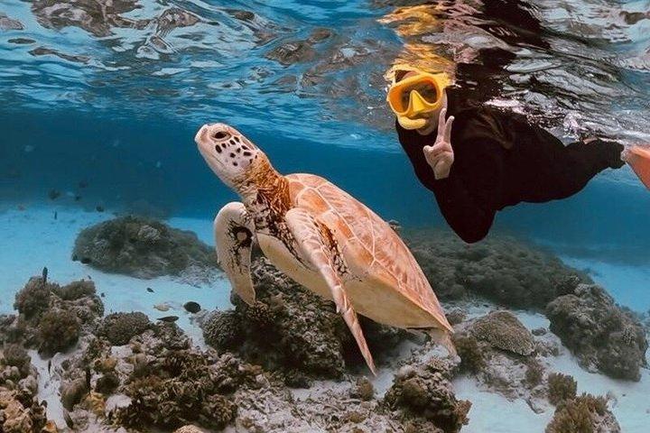 プライベートのギリ・エア、メノ、トラワンガンでのウミガメスポットでのシュノーケリング