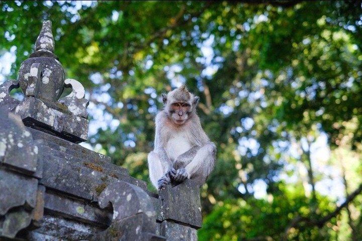 半日ツアー：王宮寺院からタナロットのオーシャンサンセットまで