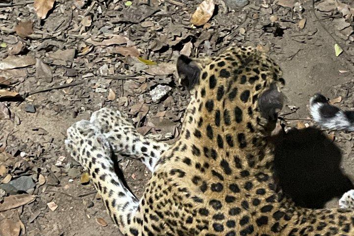 ホーチミン市サイクリングとサイゴン動物園ナイトツアー