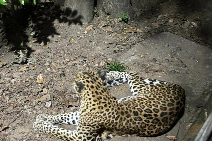 ホーチミン市サイクリングとサイゴン動物園ナイトツアー