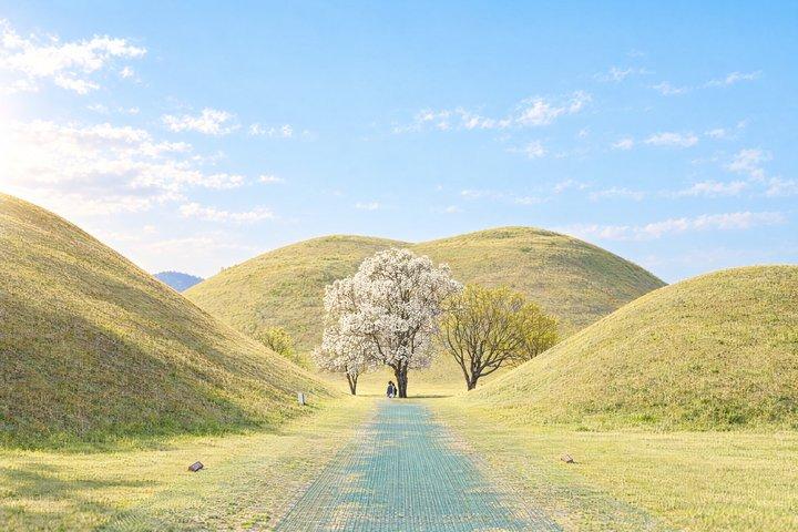 釜山または慶州からのドアツードアサービス付き慶州ユネスコ