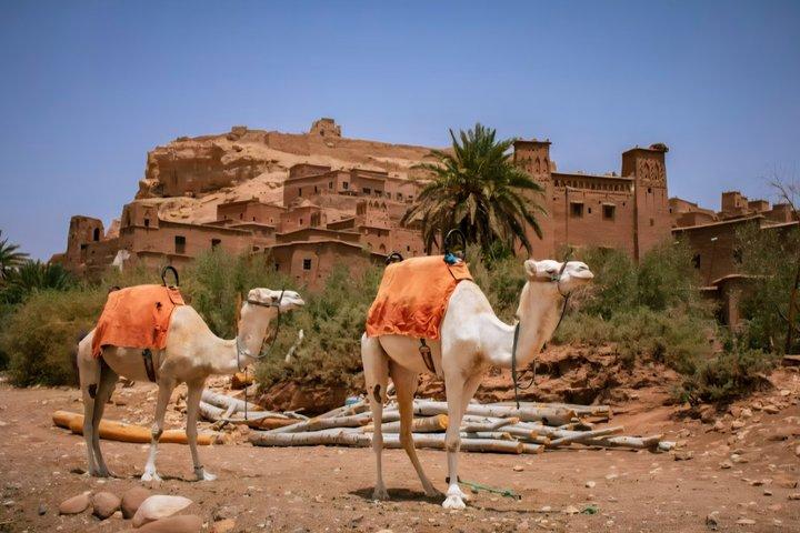 3-Day Merzouga Desert Tour from Marrakech