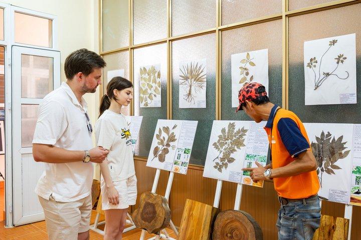 ハノイ発 ランハー湾＆カバ島景勝クルーズ