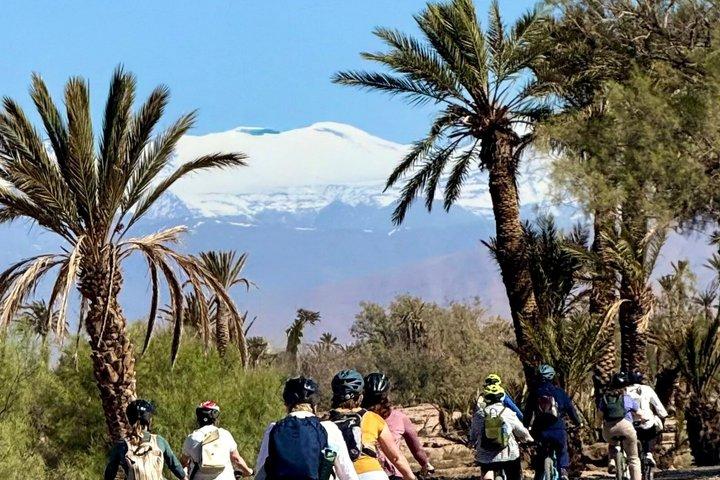 電動マウンテン バイクでパルマリー デ スコウラを巡るガイド付きツアー