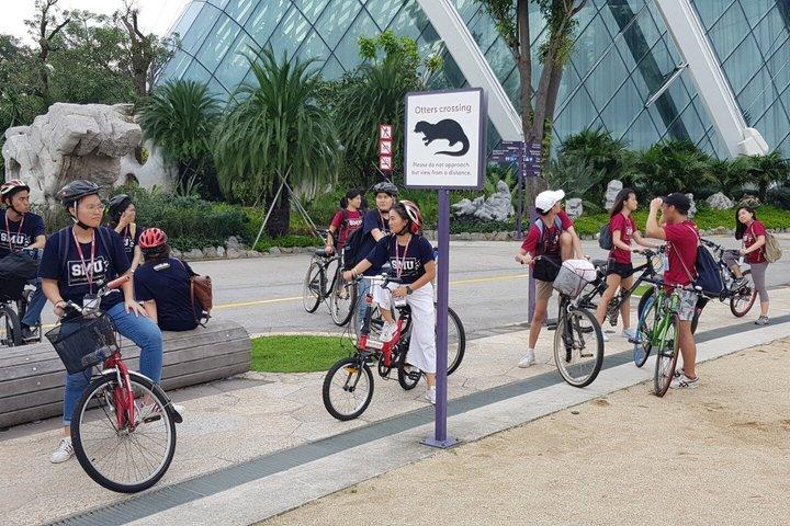 シンガポールバイク体験：遺産、文化、そして街の景色