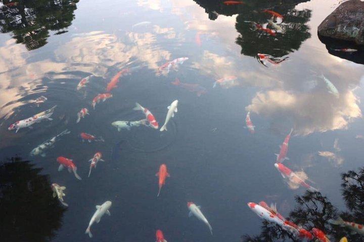 姫路城日帰り旅行 – 100%パーソナライズされたプライベートツアー