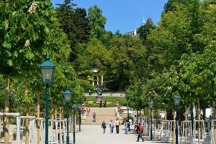 Tour Privato dei Boschi di Vienna