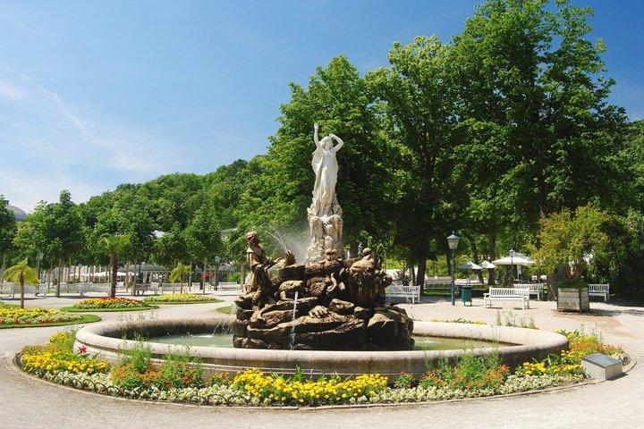 Tour Privato dei Boschi di Vienna