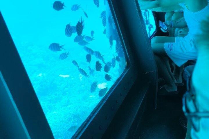 ハルガダでの水中アドベンチャー シースコープ半潜水艇ツアー