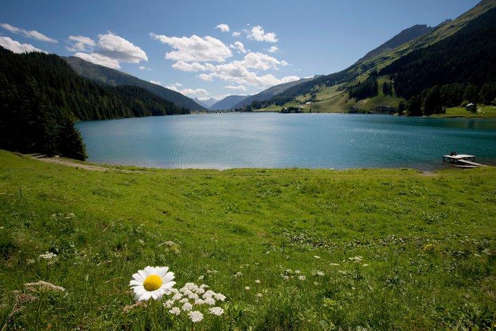 Privater Bernina Express 1. Klasse Tour Saint Moritz und Davos