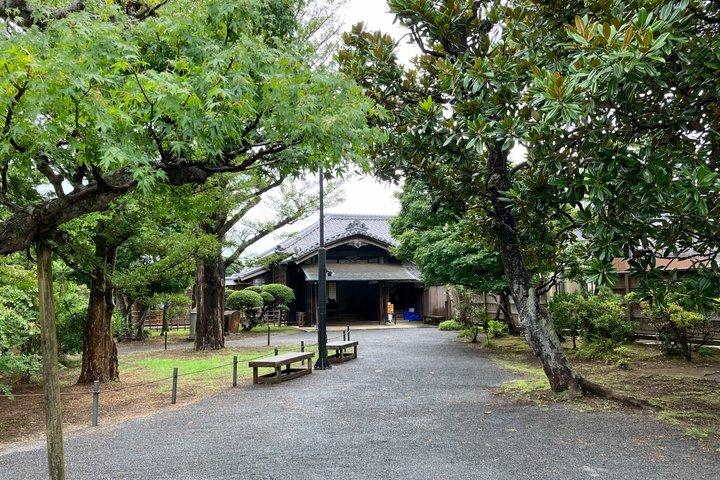 東京近郊の桜でのプライベート侍遺産Eバイクツアー
