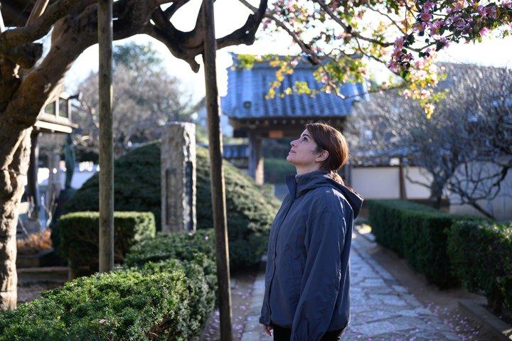 東京近郊の桜の中での僧侶とのプライベート禅瞑想と茶会